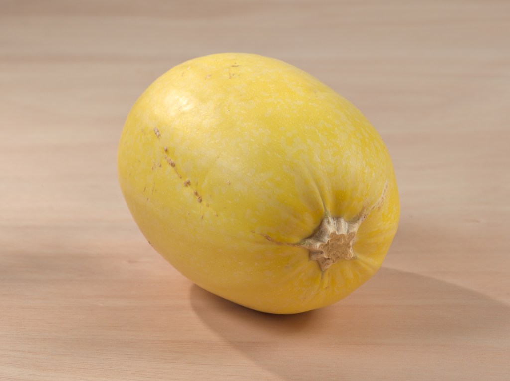 SpagSquash-251