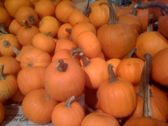 Pumpkins