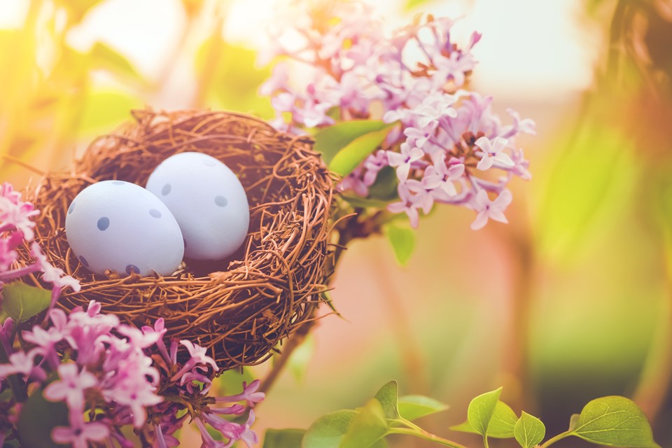 Easter Spring 960-640
