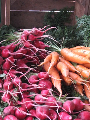 radish_carrots-small