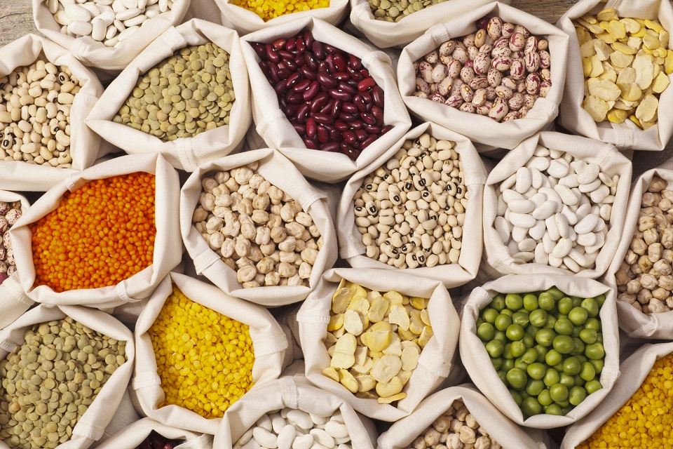 Leguminous Seeds Collection