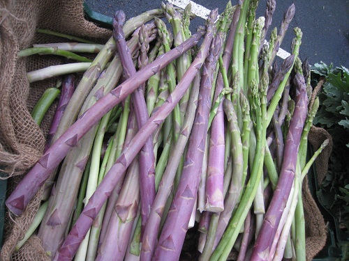 IMG_6063-Purple asparagus MD