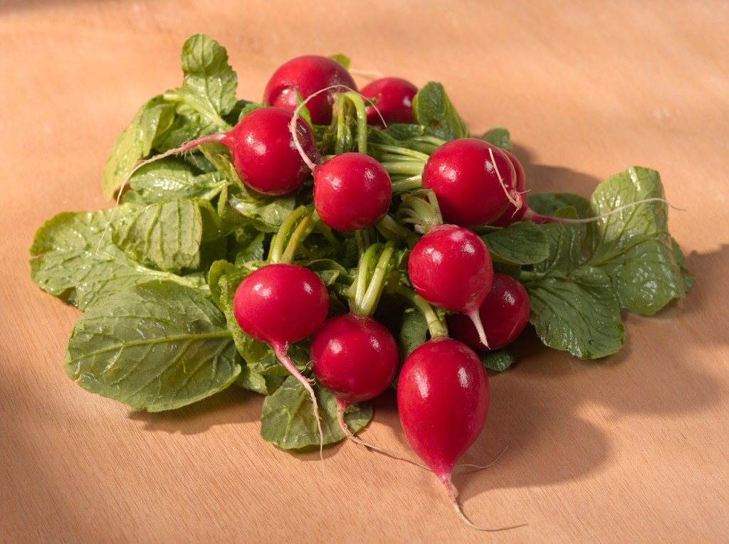 Radishes-106