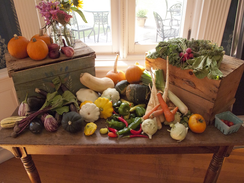 Farm table still life full of local vegetables