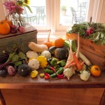 Farm table still life full of local vegetables