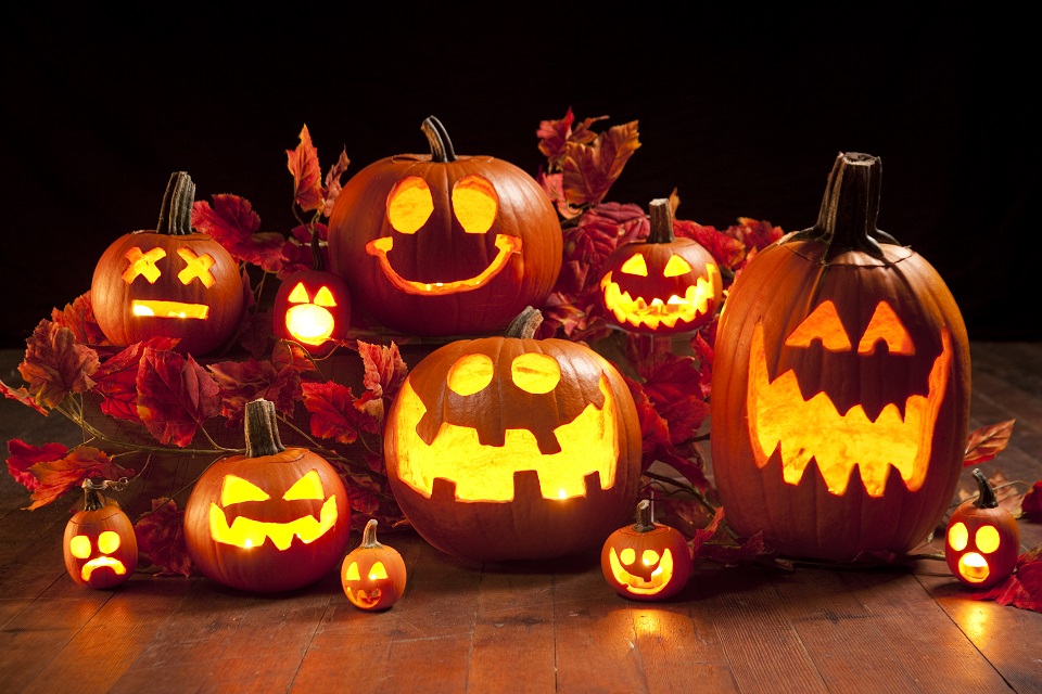 Halloween Jack-o-Lantern Pumpkins