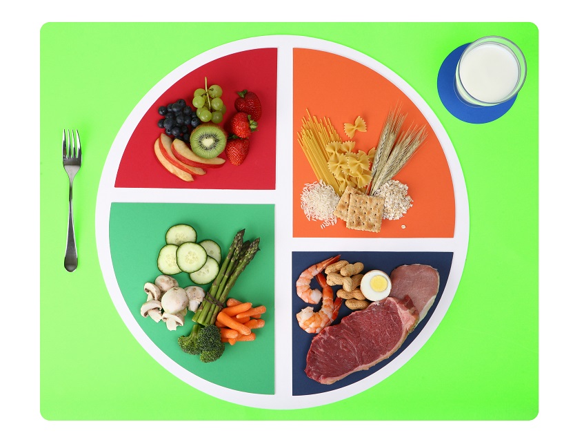 Food plate nutrition chart split into four wedges
