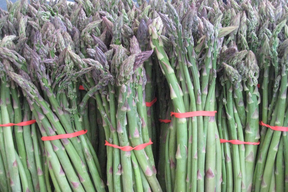IMG_6067 Asparagus Bundles-MD_960