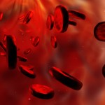 Red blood cells.