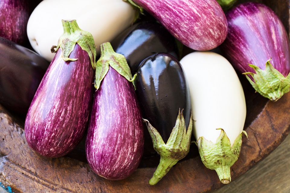 Different color eggplants