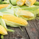 Maize. Fresh Corn on wooden table