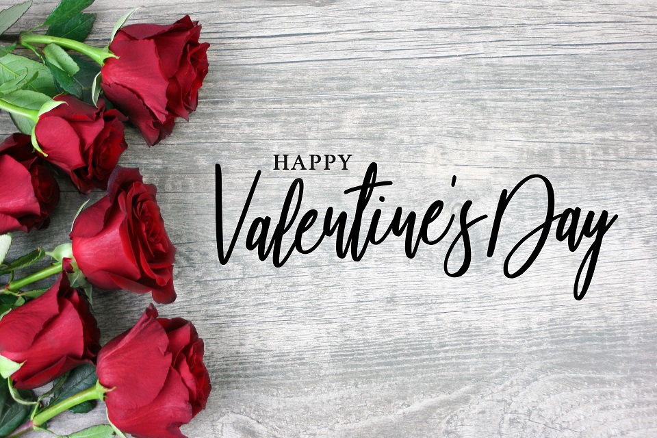 Happy Valentine's Day Calligraphy with Red Roses