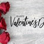 Happy Valentine's Day Calligraphy with Red Roses