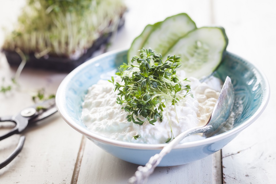 Bowl of cottage cheese