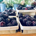 basket of blackberries
