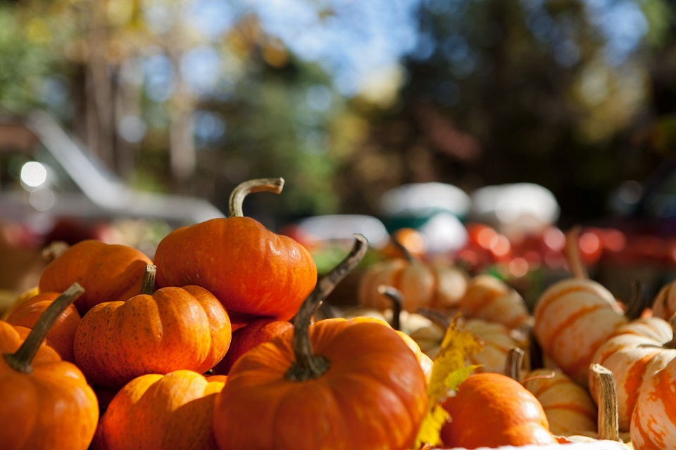 Pumpkins