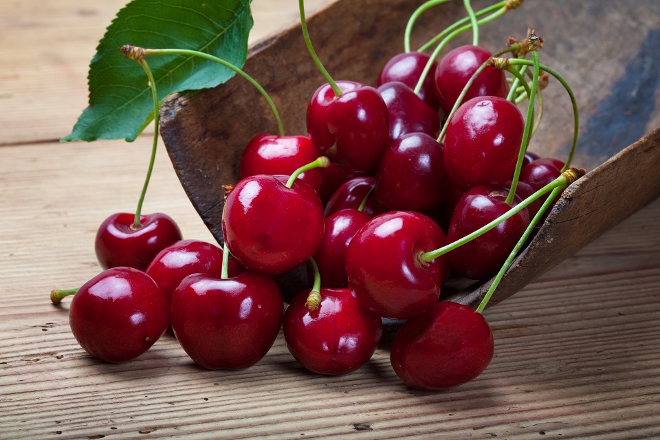 bunch of fresh cherries