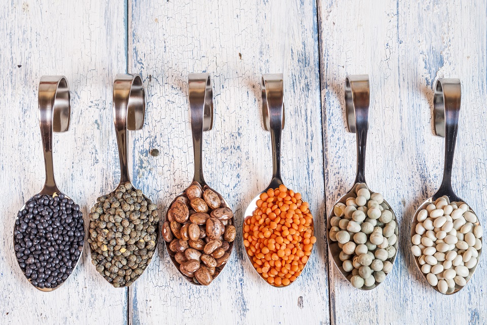 Row of spoons with different dried pulses