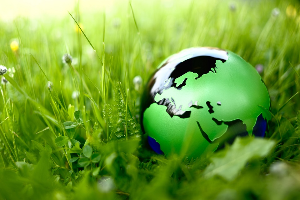 Green globe in nature
