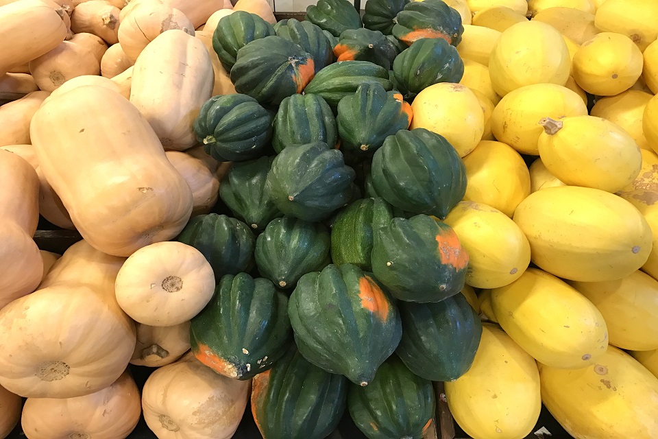 Collection of butternut, acorn and spaghetti squash