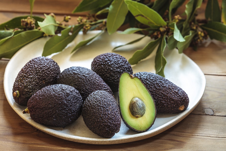 Tiny avocado still life on a plate