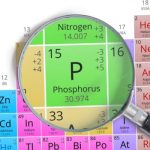 Phosphorus - Element of Mendeleev Periodic table magnified with magnifier