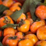 Image Of Ripe Japanese Persimmons In Autumn