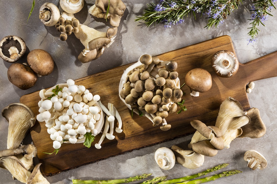 Still life of natural mushrooms