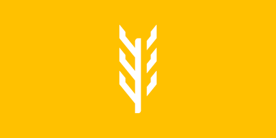 Fallback Image