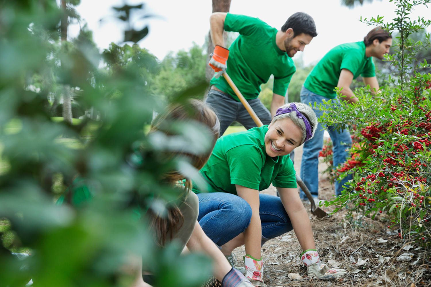 Volunteers in green t-shirts landscaping in a park, with a smiling woman in a purple headband crouching in the foreground and two men tending to a bush behind her.