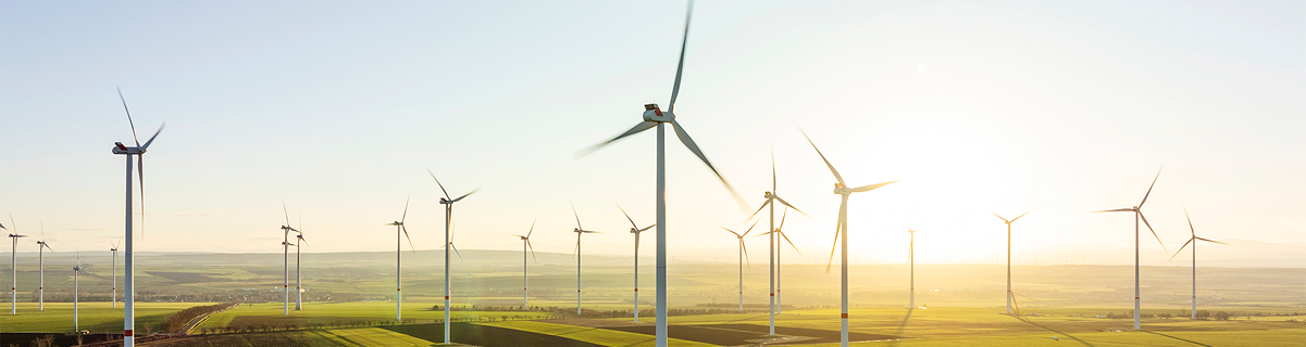Wind turbines in a green field at sunrise.